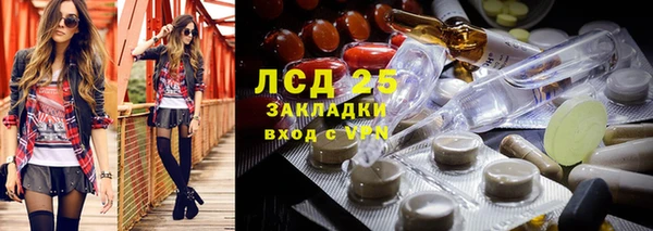 винт Богданович