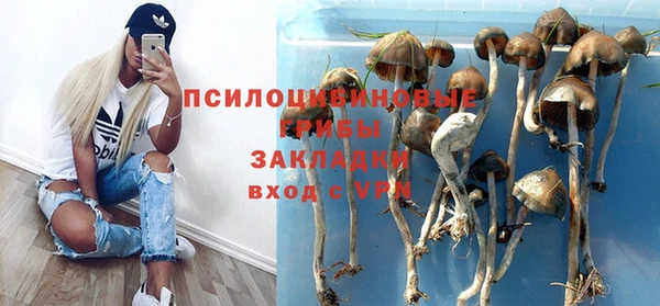 молекула духа Беломорск