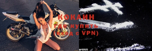 винт Богданович