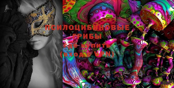 молекула духа Белоозёрский